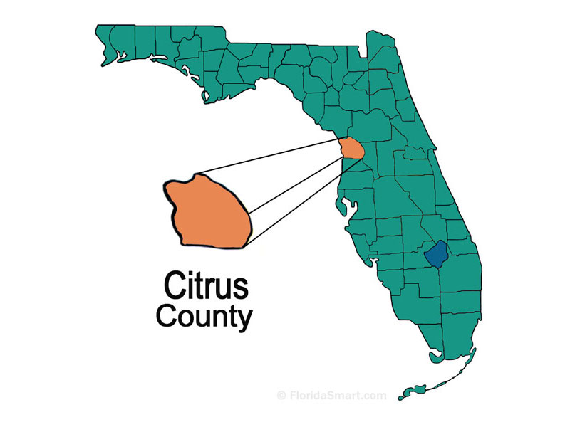 DUMPSMART RENTALS - Citrus Counties